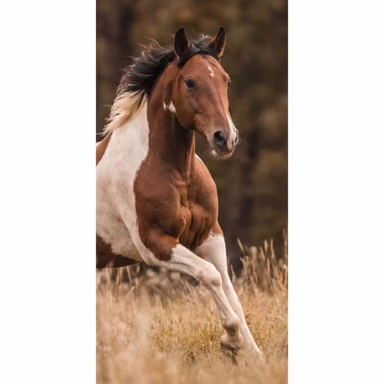 Behang - Paard - Bruin - Gras — 2