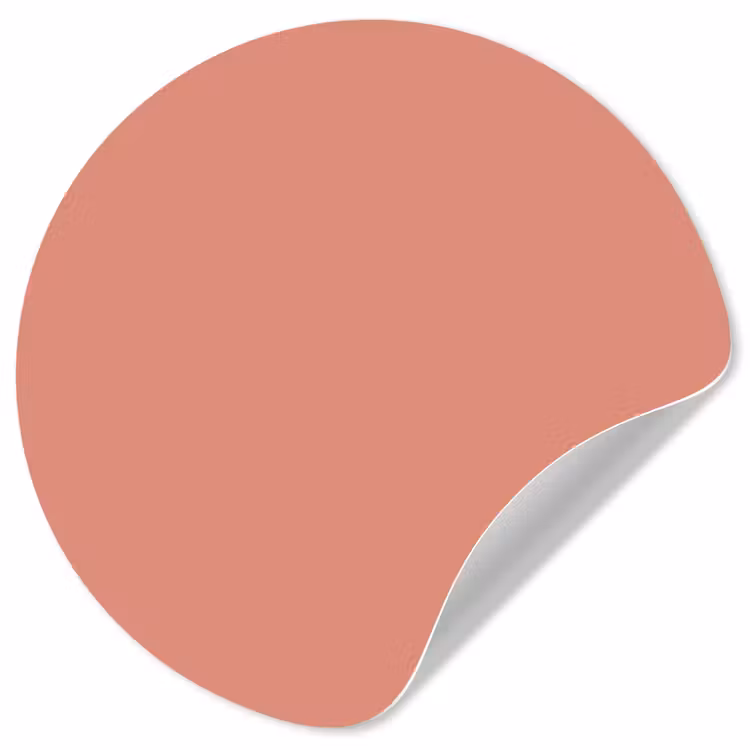 Behangcirkel - Earthy - Rose - Koraal — 1
