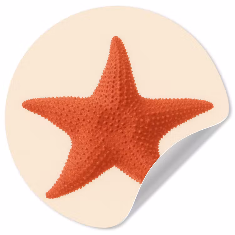 Behangcirkel - Zeester - Bobbels - Rood — 1