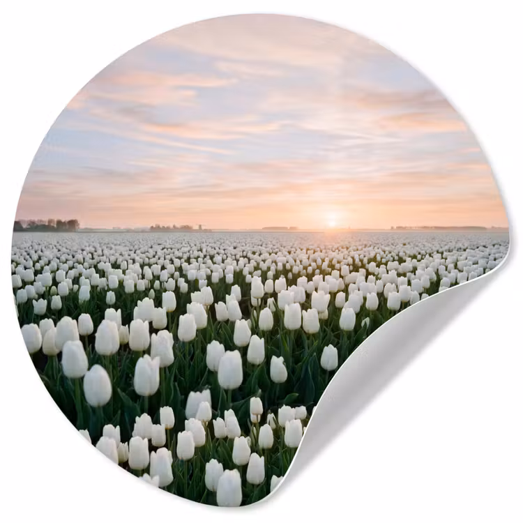 Behangcirkel - Tulpen - Landschap - Wit — 1