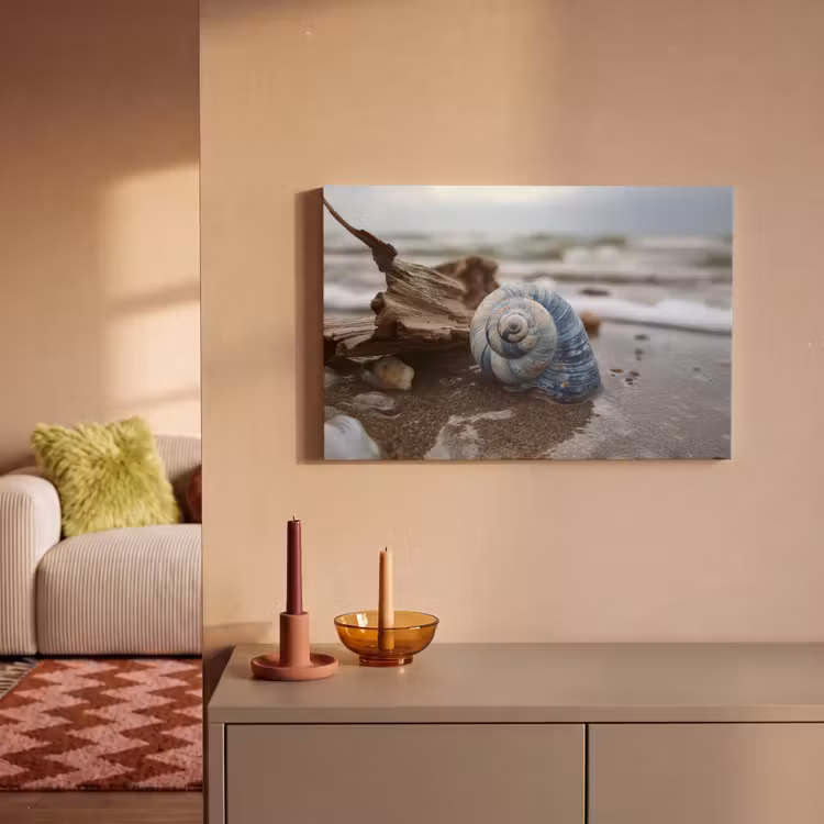 Canvas schilderij - Schelp - Strand - Blauw - Zee — 1