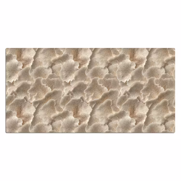 Bureau onderlegger - Waaierstructuren - Beige - Vezeltextuur — 2