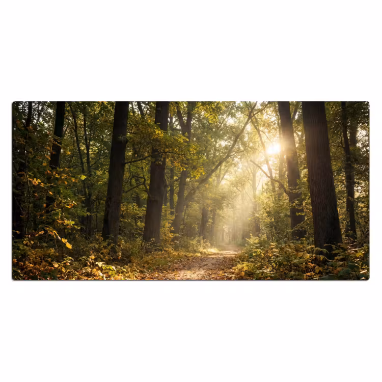 Bureau onderlegger - Zonlicht - Bospad - Bomen — 2