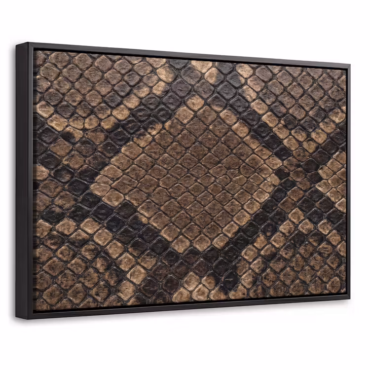 Canvas met lijst - Python - Schubben - Brons — 1