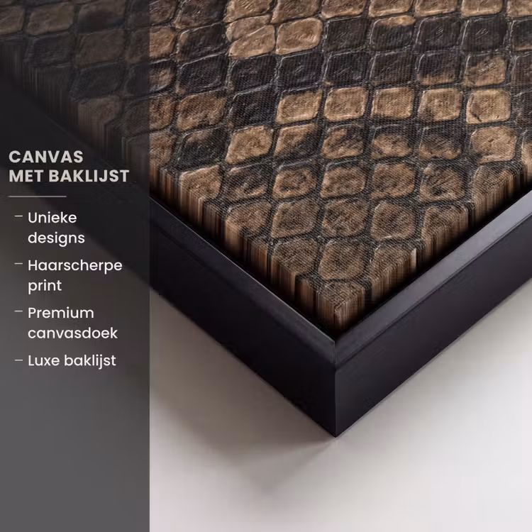 Canvas met lijst - Python - Schubben - Brons — 5
