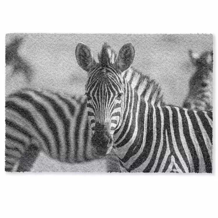 Deurmat - Zebra's - Zwart - Wit — 1
