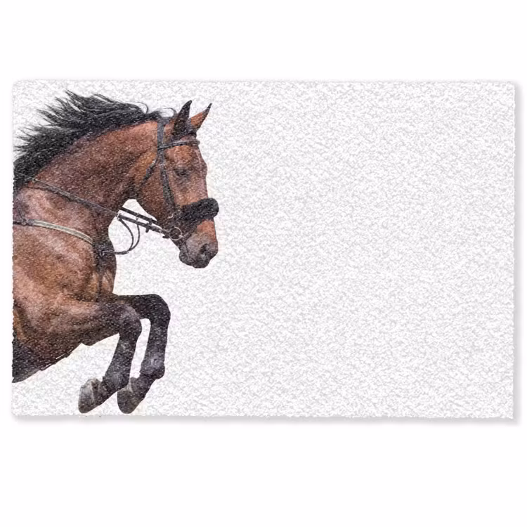 Deurmat - Paard - Springen - Modern — 1