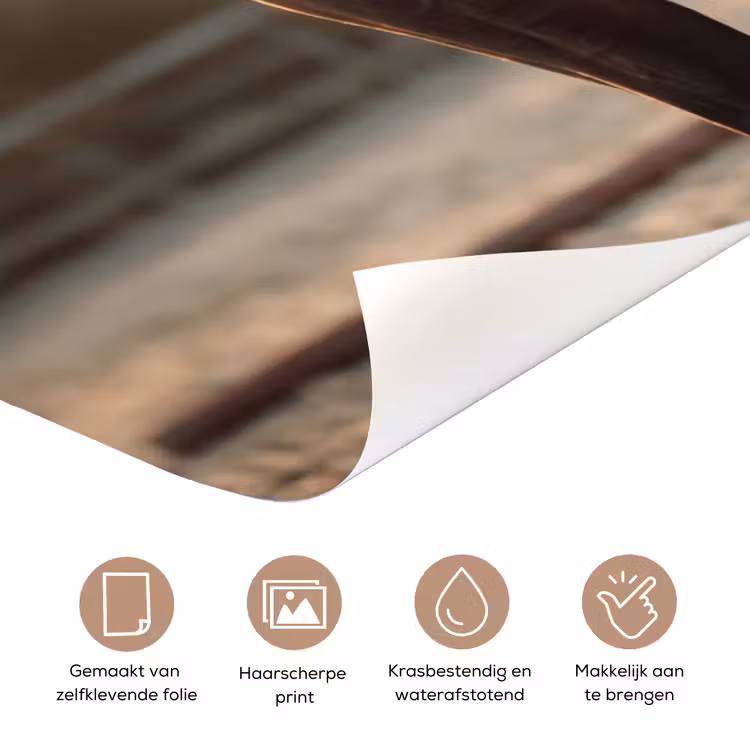 Deursticker - Harmonie - Ruiter - Zon — 3