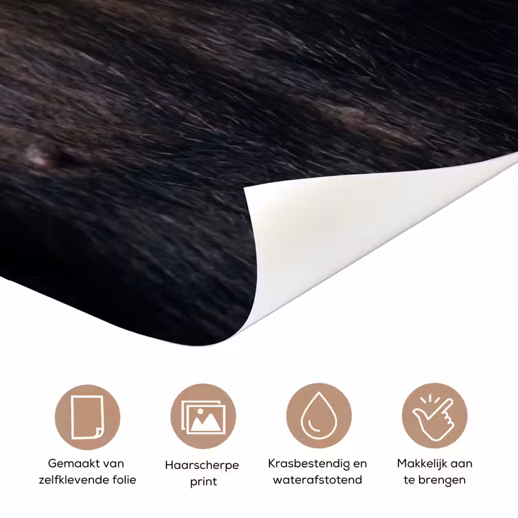 Deursticker - Chimpansee - Badeend - Grijs — 3