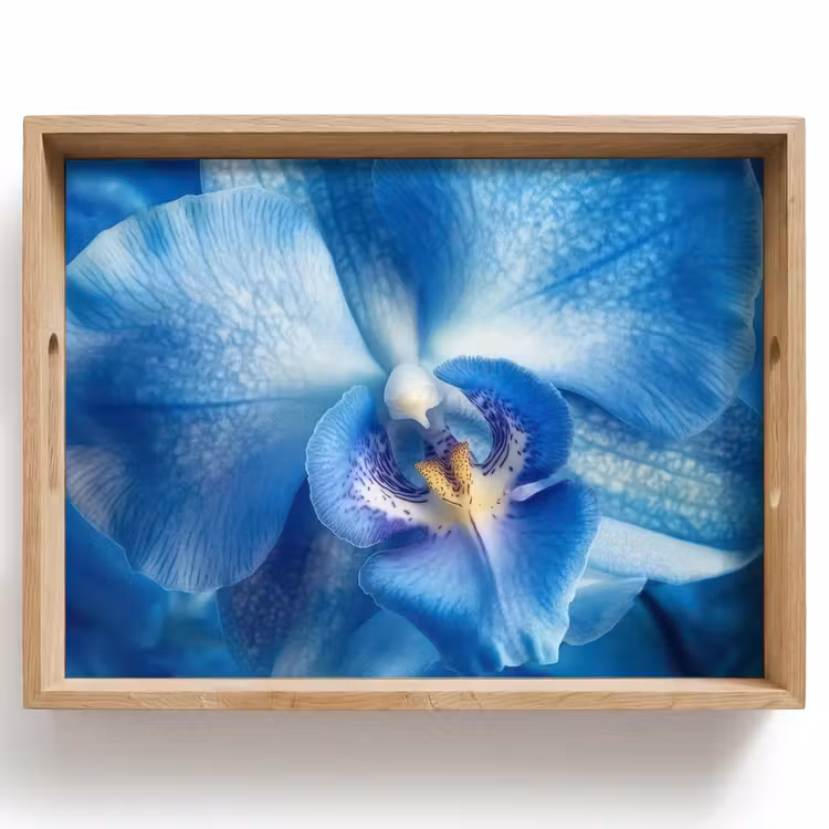 Dienblad - Blauw - Orchidee - Elegeant — 1