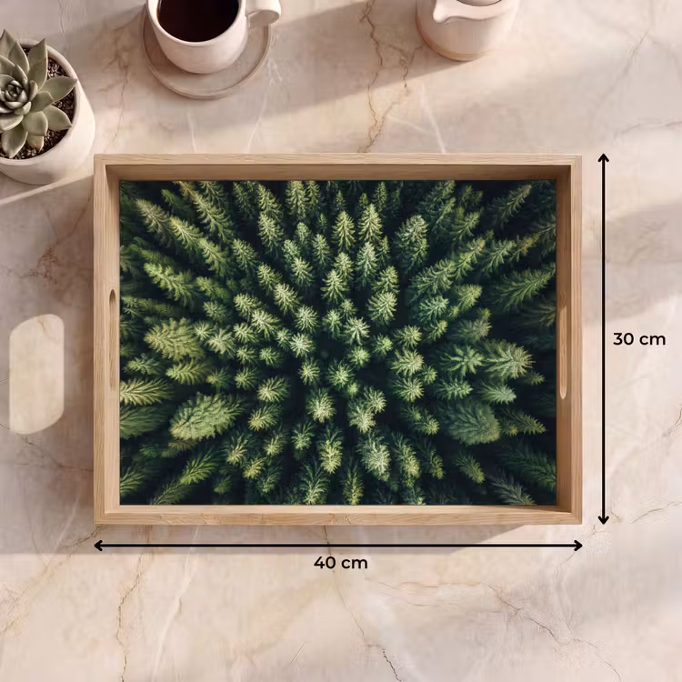 Dienblad - Bomen - Naaldwoud - Structuur — 9
