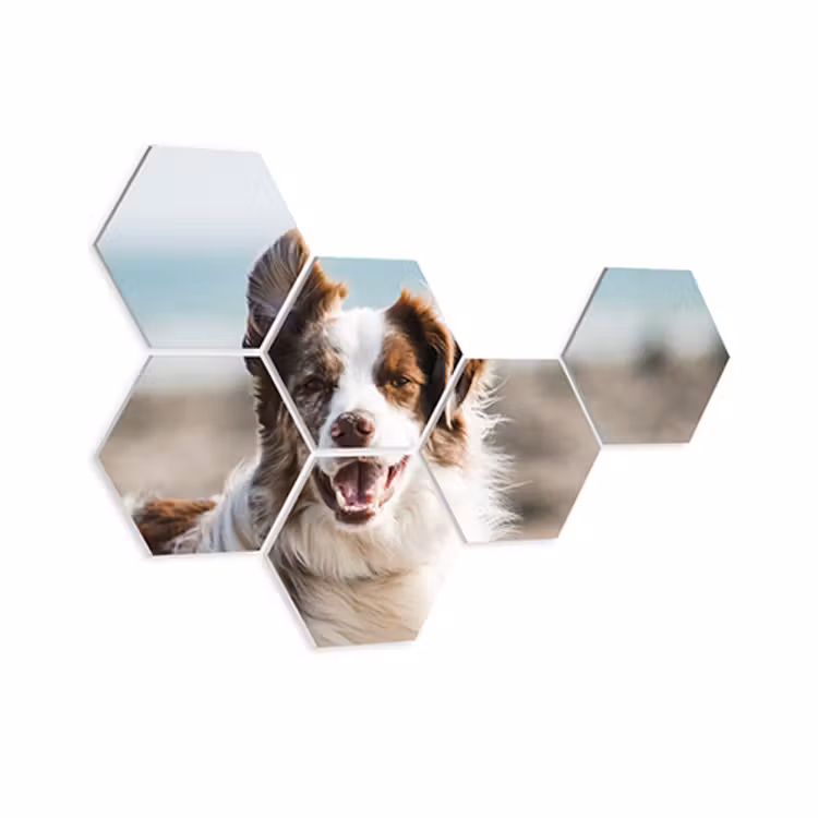 Foto over meerdere hexagons — 7