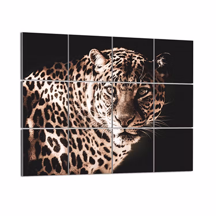 Foto over meerdere squares — 6