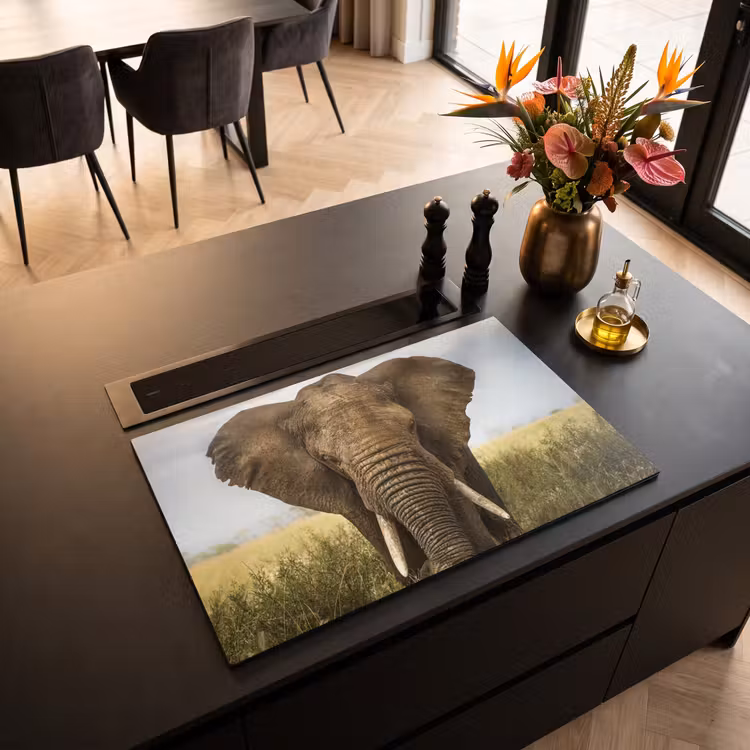 Inductie beschermer vinyl 3mm - Gigant van de Savanne — 3