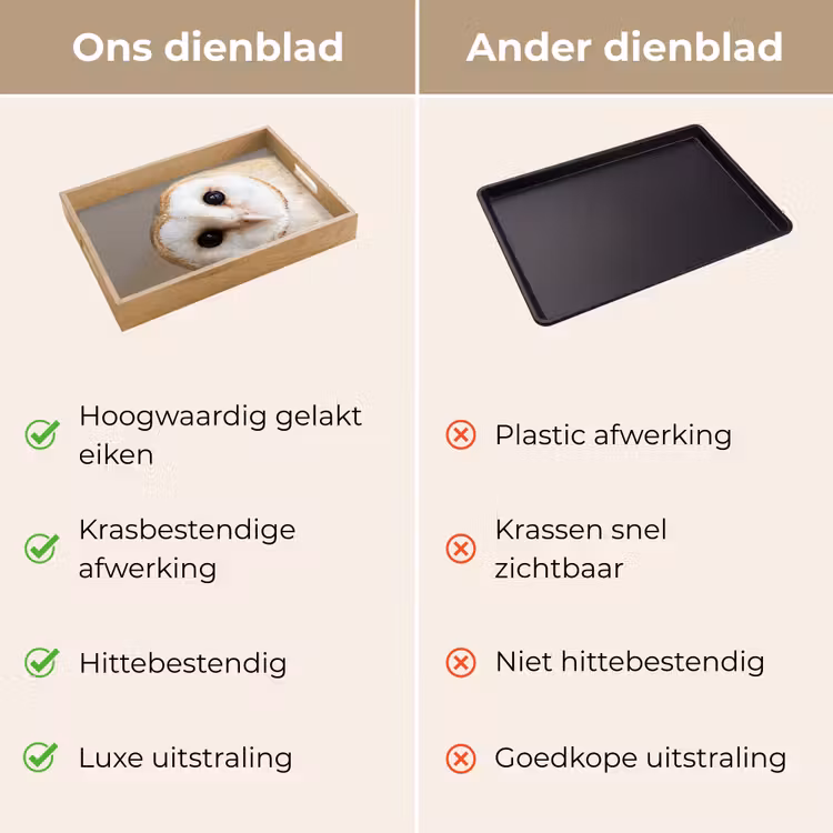 Dienblad - Uil - Bruin - Wit — 3