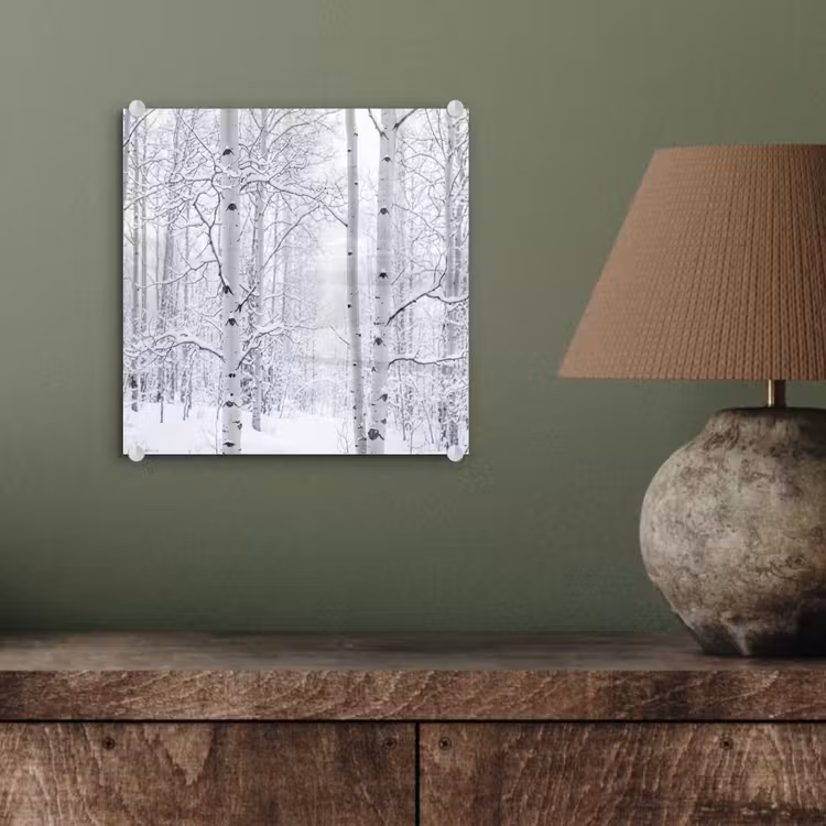 Glas schilderij - Berkenbomen - Sneeuw - Winter - Bos - Wit — 4