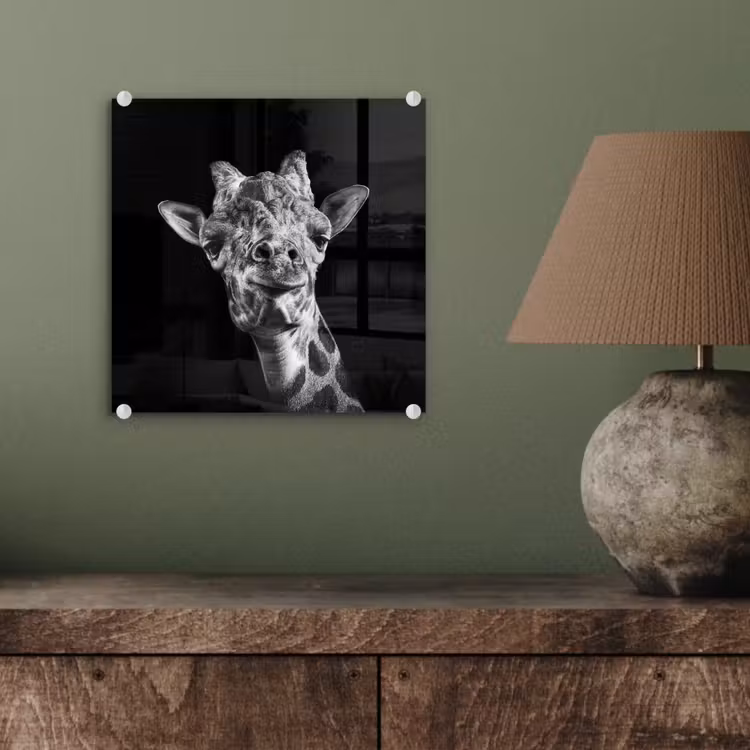Glas schilderij - Giraffe - Dier - Zwart - Wit — 3