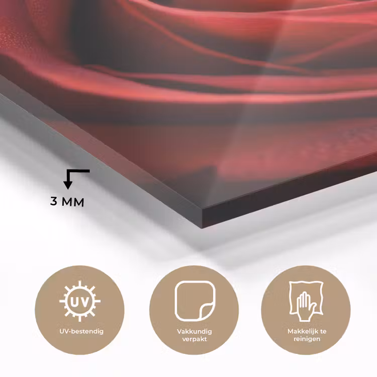 Glas schilderij - Rood - Roos - Romantisch — 3