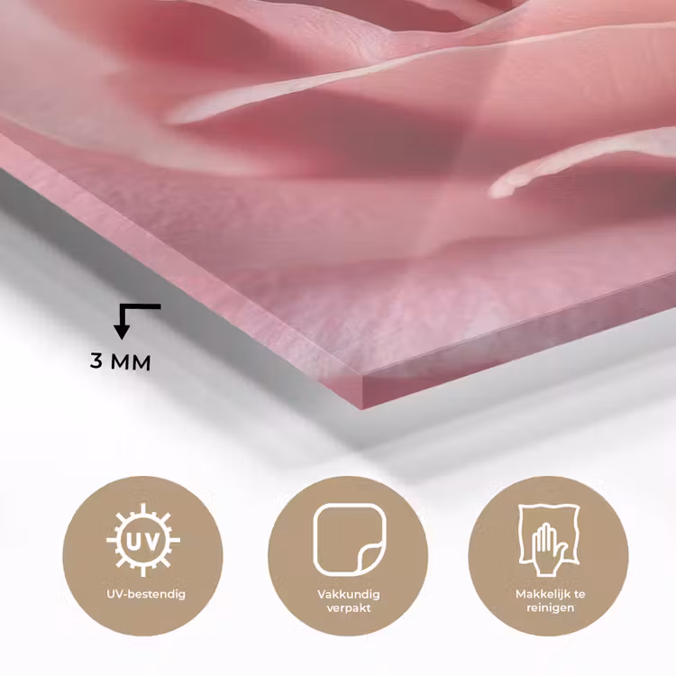 Glas schilderij - Roze - Roos - Romantisch — 3