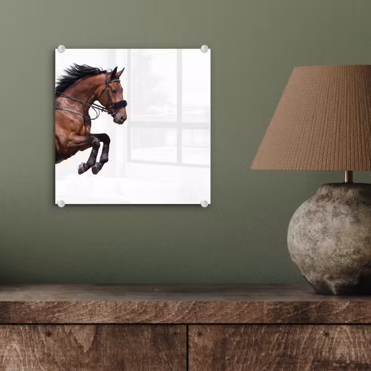 Glas schilderij - Paard - Springen - Modern — 4