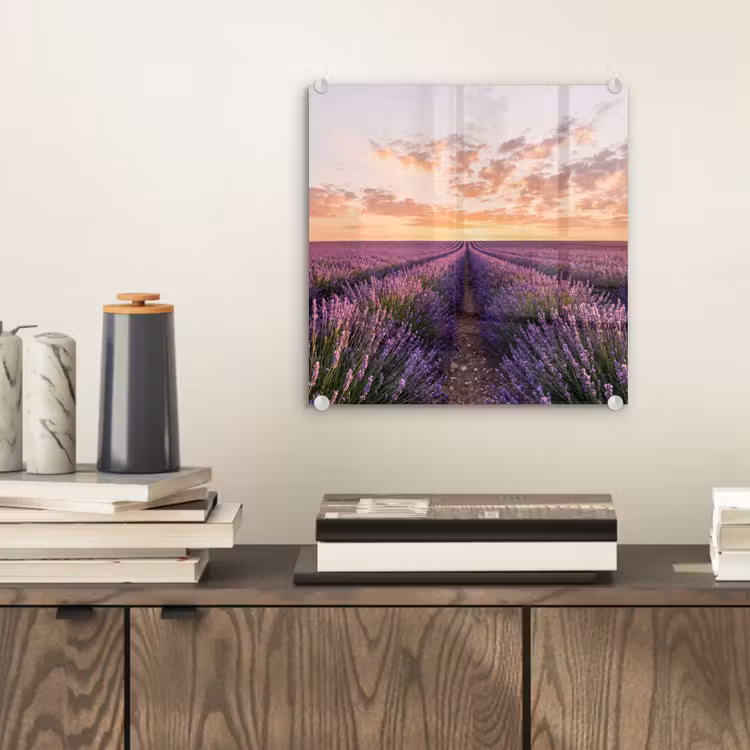 Glas schilderij - Landschap - Lavendelveld - Paars — 2