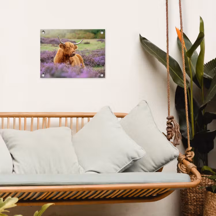 Tuinposter - Hooglander in de Heide — 5