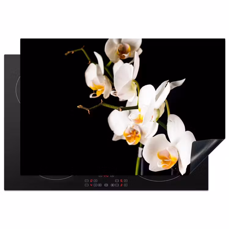 Inductie beschermer - Hemelse Orchideeëntak — 1