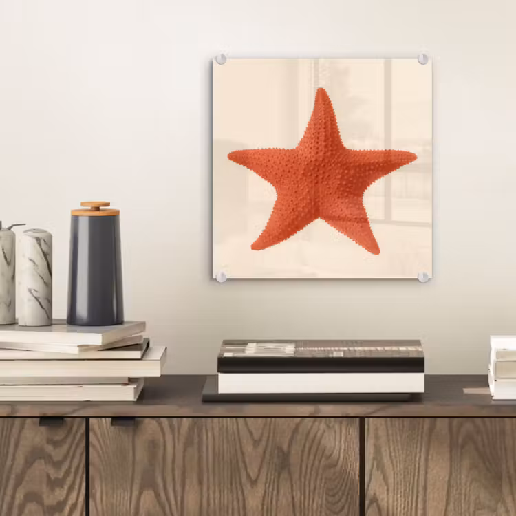 Glas schilderij - Zeester - Bobbels - Rood — 2