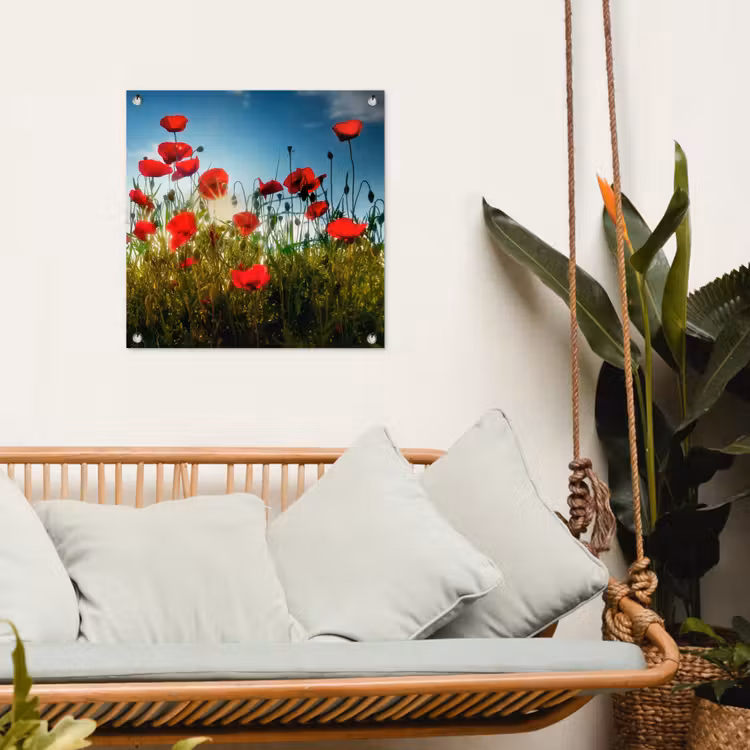 Tuinposter - Klaprozen in tegenlicht — 5