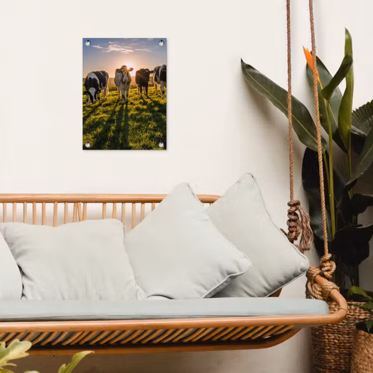 Tuinposter - Koeien in de ochtendzon — 5