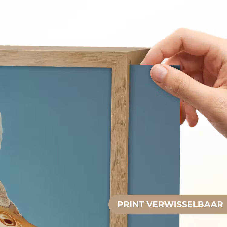 Lightbox - Wandlamp - Eend - Koksmuts - Cute - Vogel — 5