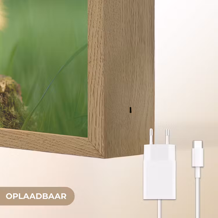 Lightbox - Wandlamp - Kuiken - Eend - Geel - Gras — 7