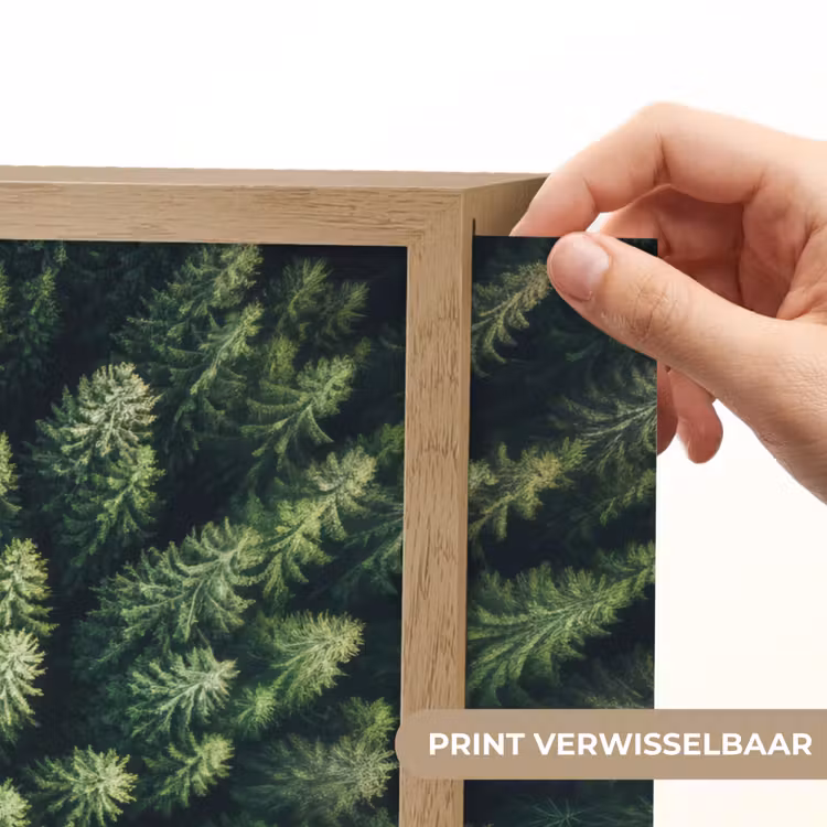 Lightbox - Wandlamp - Bomen - Naaldwoud - Structuur — 5