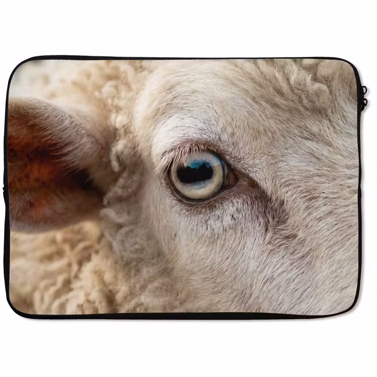 Laptophoes - Schaap - Oog - Wit — 1