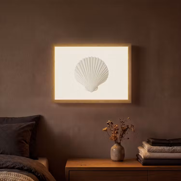 Lightbox - Wandlamp - Schelp - Minimalistisch - Wit — 3
