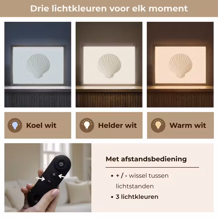 Lightbox - Wandlamp - Schelp - Minimalistisch - Wit — 8