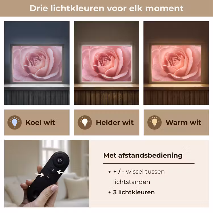 Lightbox - Wandlamp - Roze - Roos - Romantisch — 8