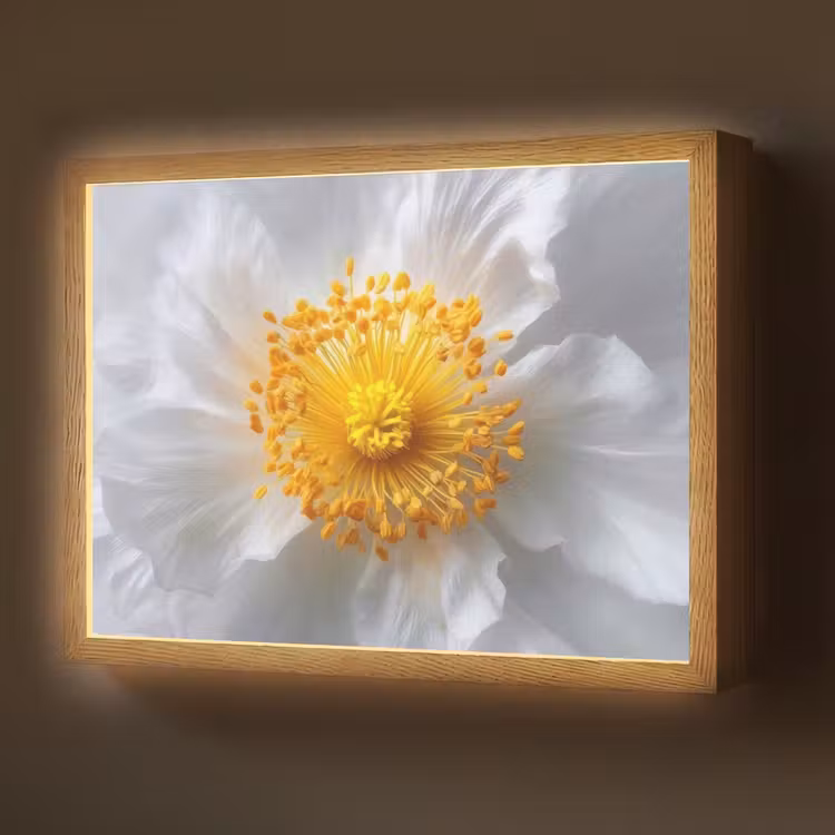 Lightbox - Wandlamp - Wit - Bloem - Elegant — 1