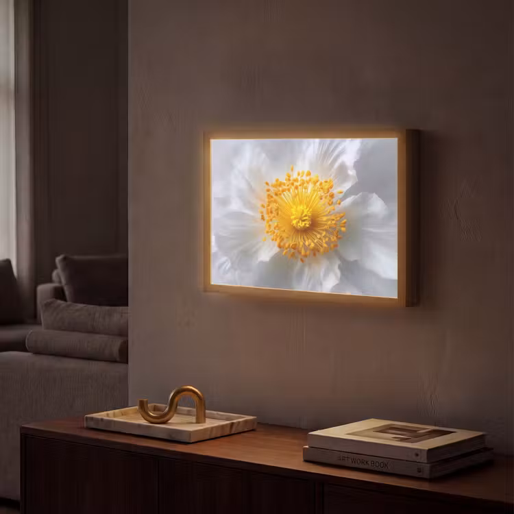 Lightbox - Wandlamp - Wit - Bloem - Elegant — 2