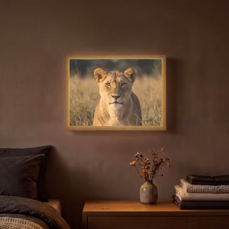 Lightbox - Wandlamp - Leeuwin - Gras - Geel — 3