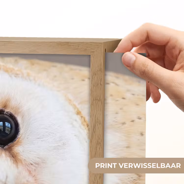 Lightbox - Wandlamp - Uil - Bruin - Wit — 5
