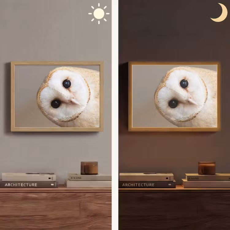 Lightbox - Wandlamp - Uil - Bruin - Wit — 6
