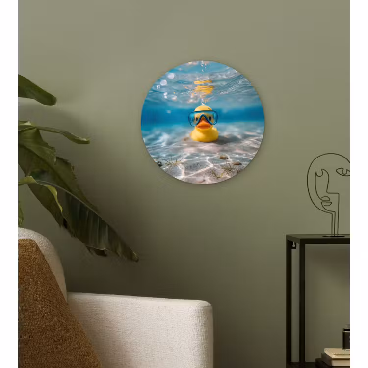 Muurcirkel - Duikbril - Eend - Water — 3