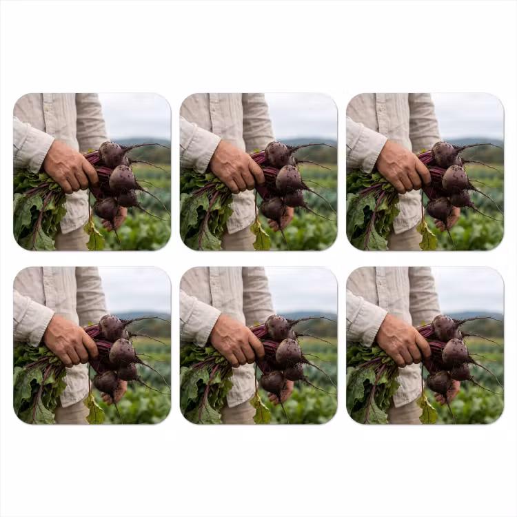 Onderzetter​ - Bieten - Vers - Moestuin — 1