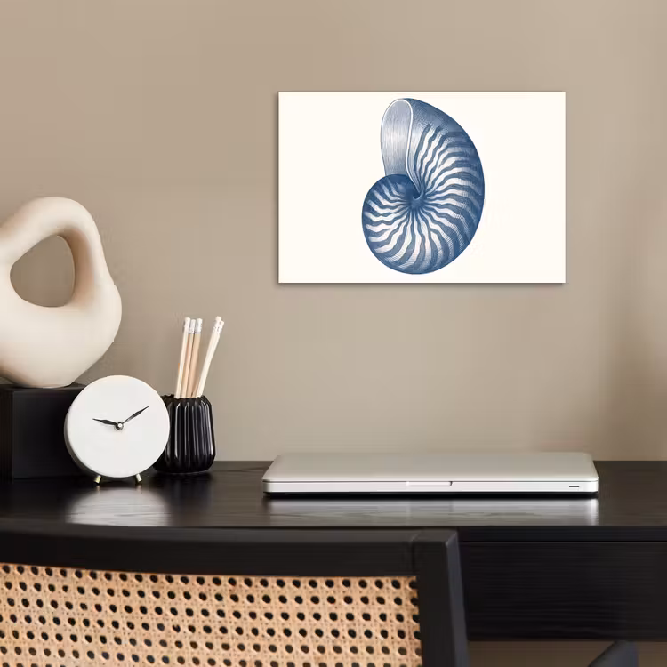 Poster - Blauw - Schelp - Spiraal — 2