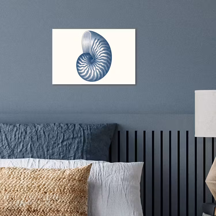 Poster - Blauw - Schelp - Spiraal — 3