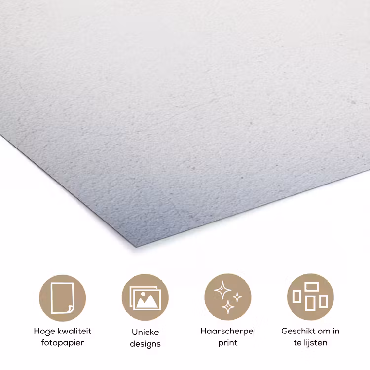 Poster - Beton - Wit - Modern — 5