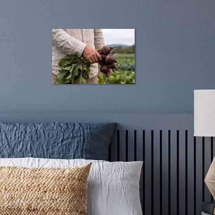 Poster - Bieten - Vers - Moestuin — 3