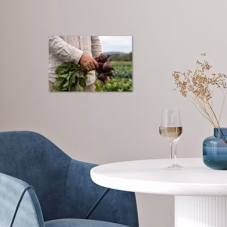 Poster - Bieten - Vers - Moestuin — 4