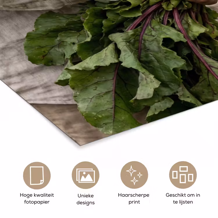 Poster - Bieten - Vers - Moestuin — 5